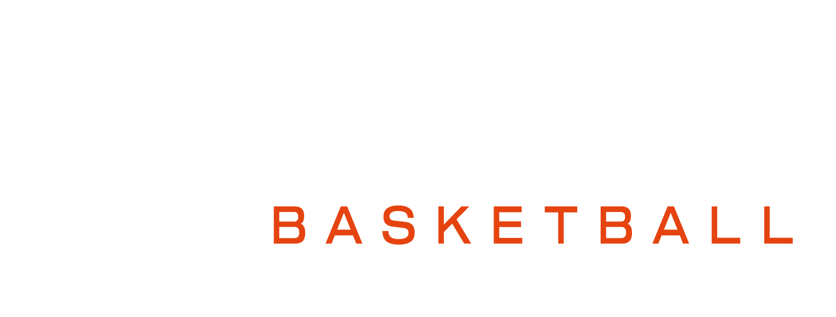 Ligue Auvergne-Rhône-Alpes de Basketball
